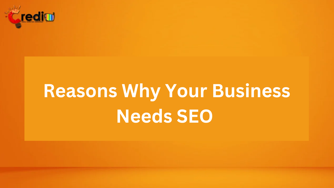 Reasons Why Your Business Needs SEO - Credia Digital